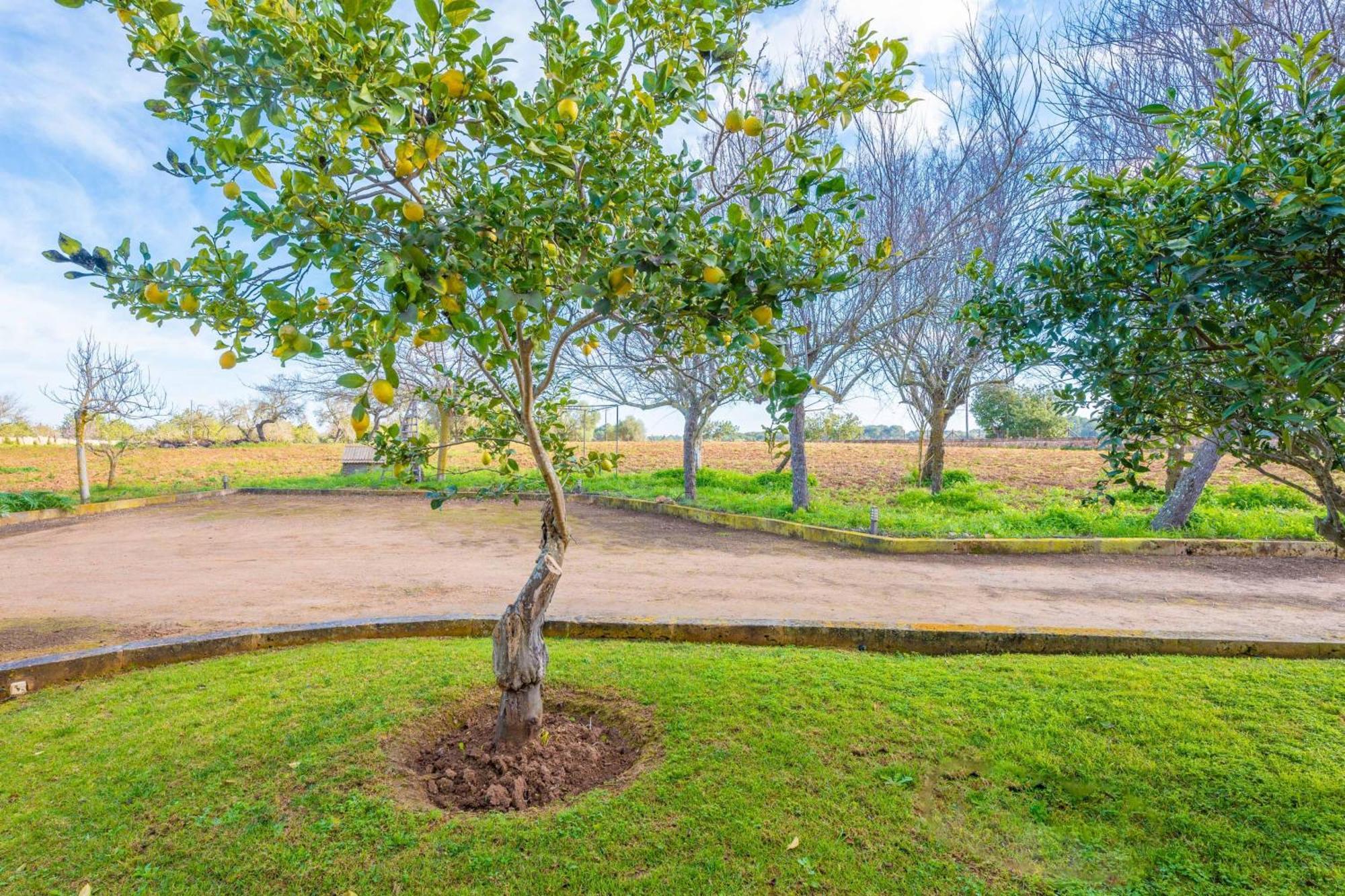Sa Xigala Villa *